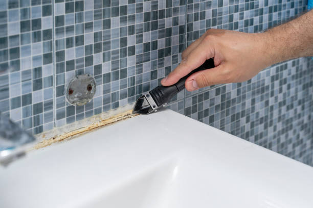 Best Mold Removal Specialists  in Grayvle, IL