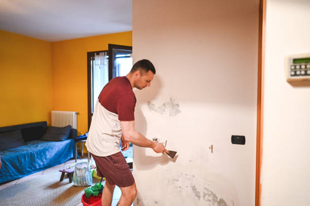 Best Attic Mold Removal  in Grayvle, IL